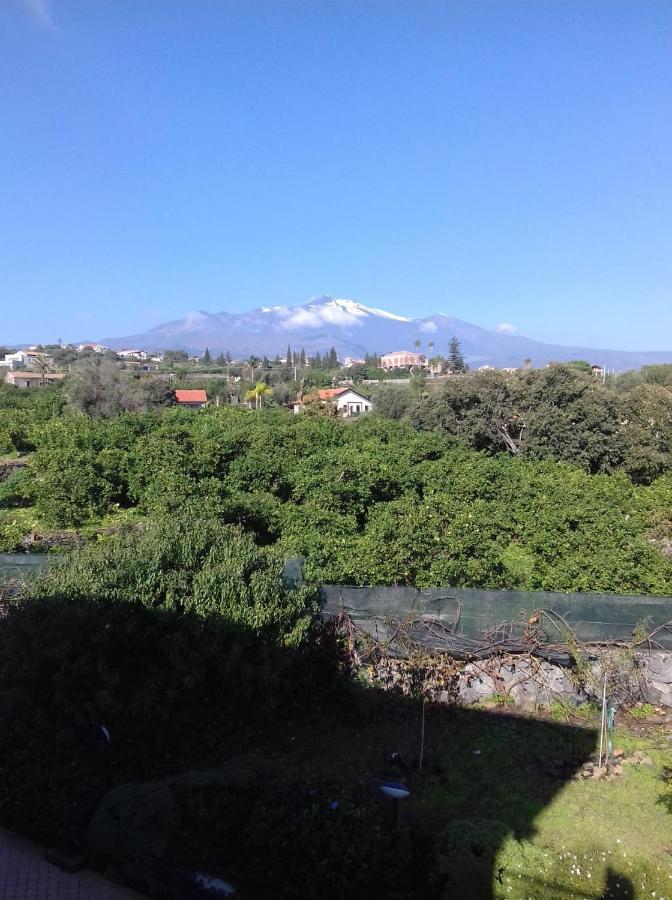 Villa Dei Limoni Etna-Mare Acireale Eksteriør billede